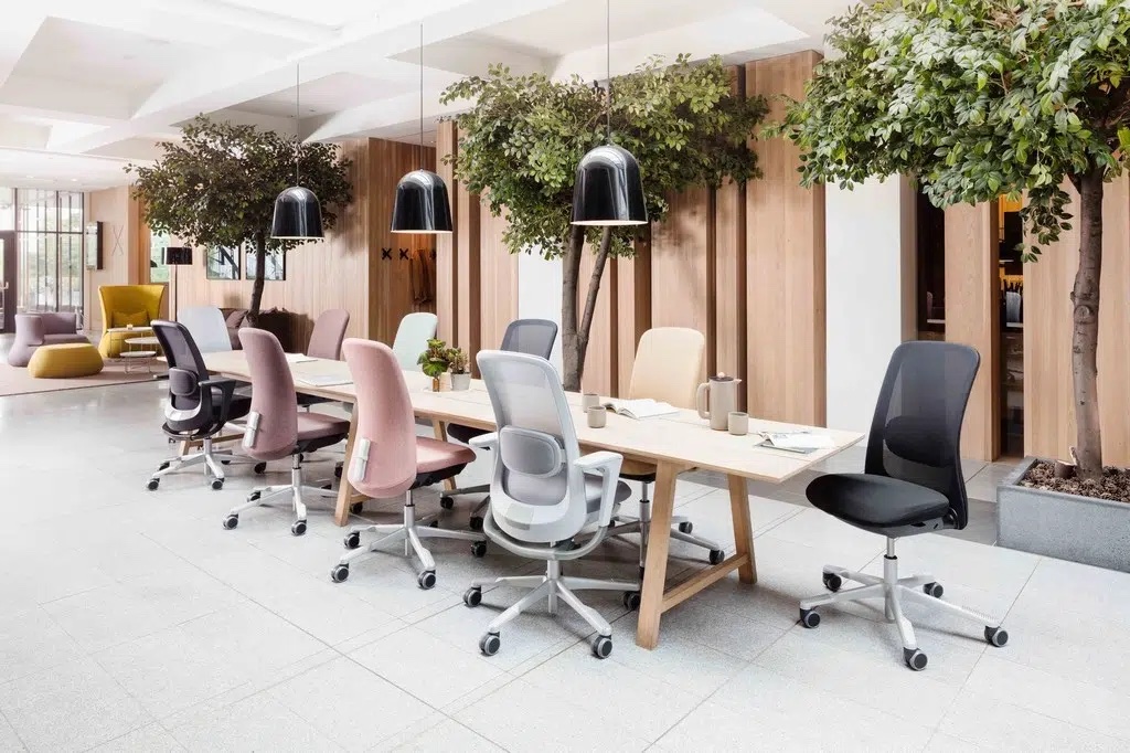 Meeting Chairs
